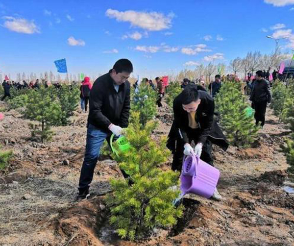 1557499393401228.jpeg 02.jpeg