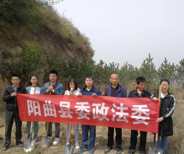 1558106146645476.jpg 01.jpg