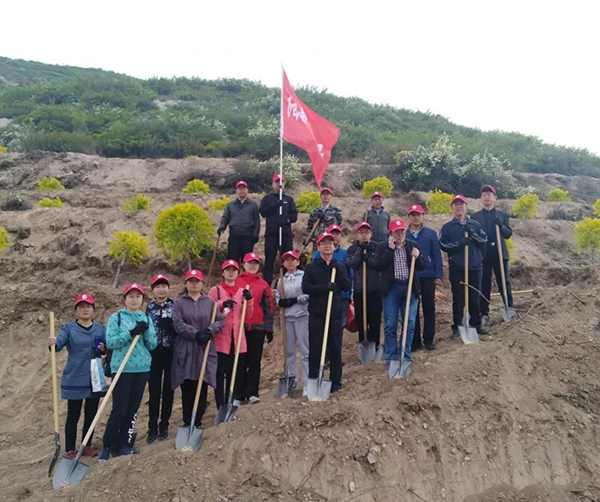 1558106158899321.jpg 02.jpg