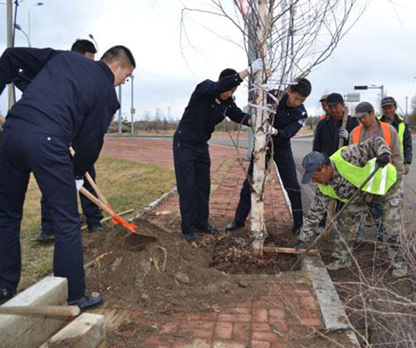 1558106563106163.jpeg 01.jpeg