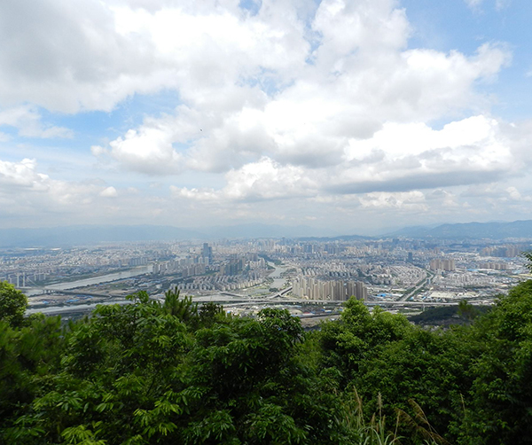 1558106827817259.jpg 01.jpg