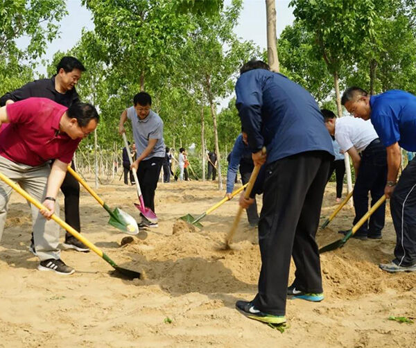 1558107272928970.jpg 02.jpg