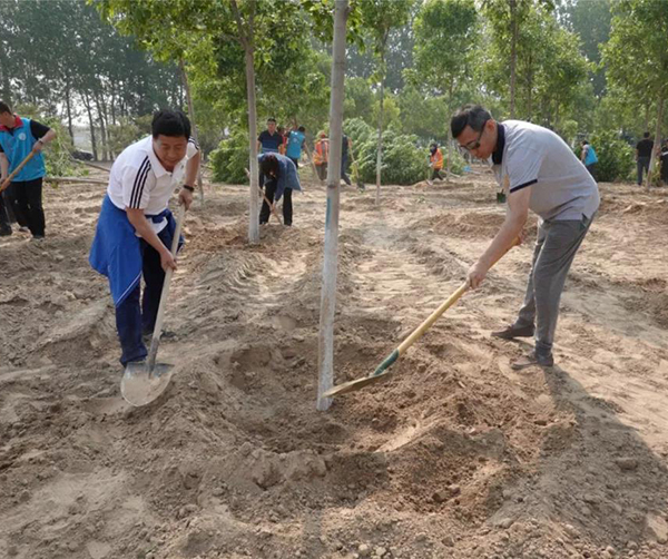 1558107279110376.jpg 01.jpg