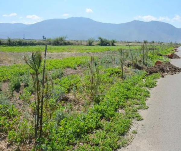 1559138947121194.jpeg 01.jpeg