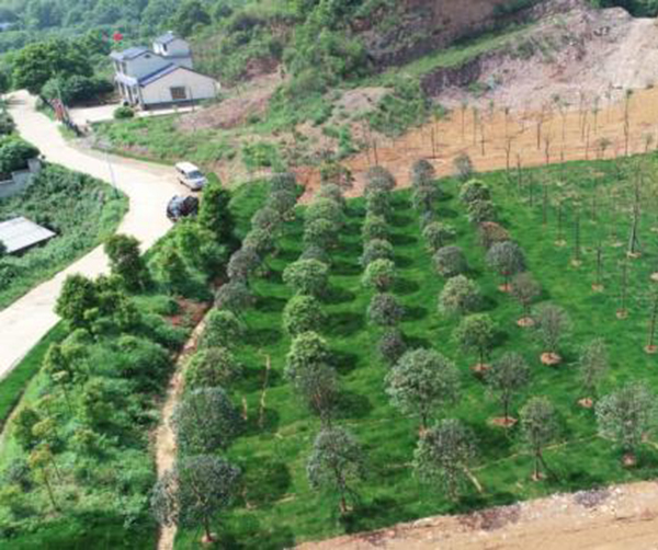 1559139301103728.jpeg 02.jpeg