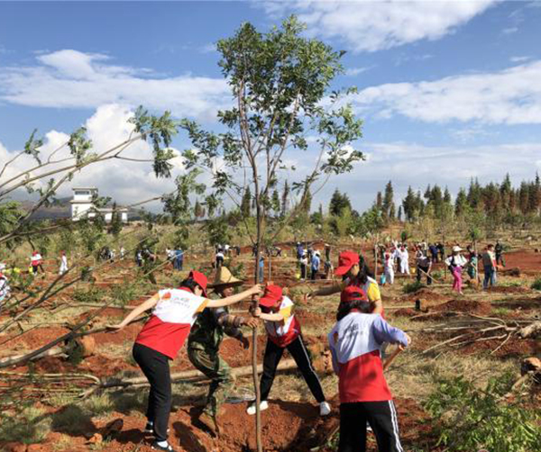 1559751652100474.jpg 01.jpg