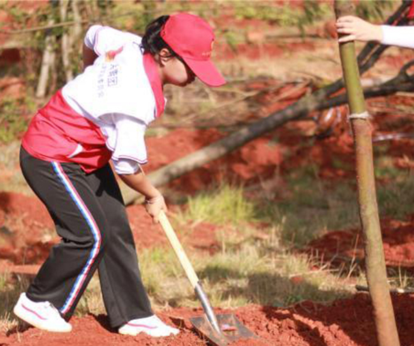 1559751666867778.jpg 02.jpg