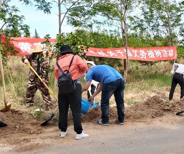 1559751762528516.jpg 01.jpg