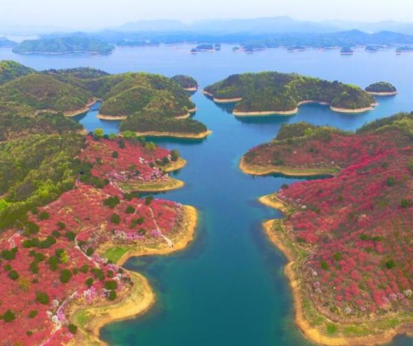 1559751920190286.jpg 01.jpg