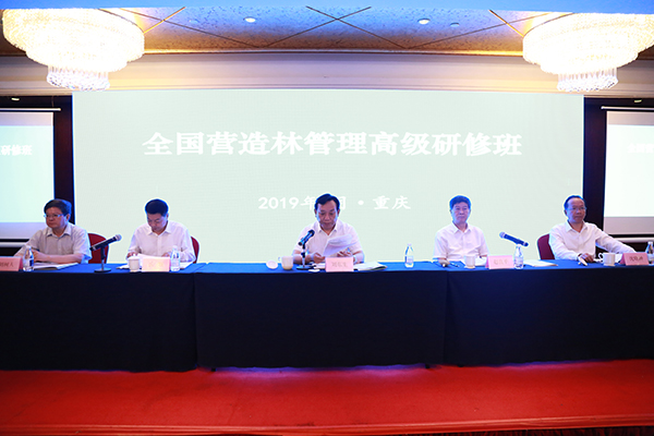 1559752254886798.jpg 6P0A8750.jpg