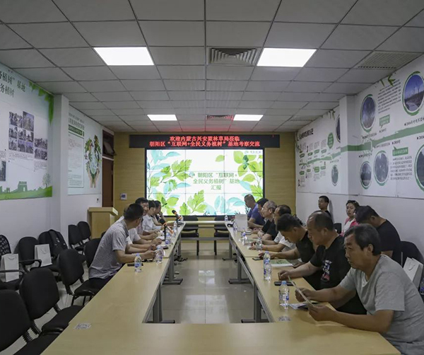 1560358016459880.jpg 01.jpg