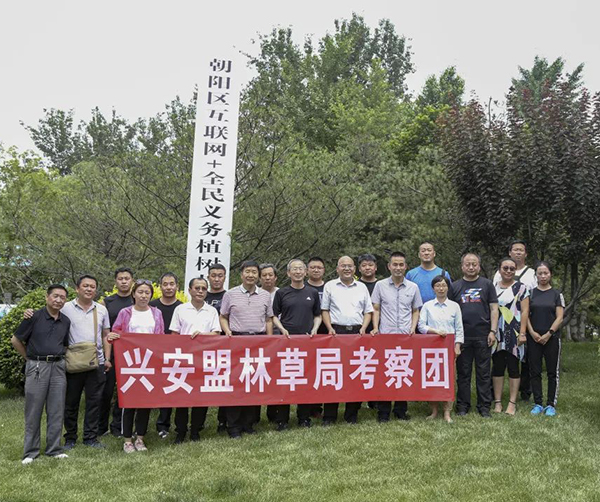 1560358071647800.jpg 04.jpg