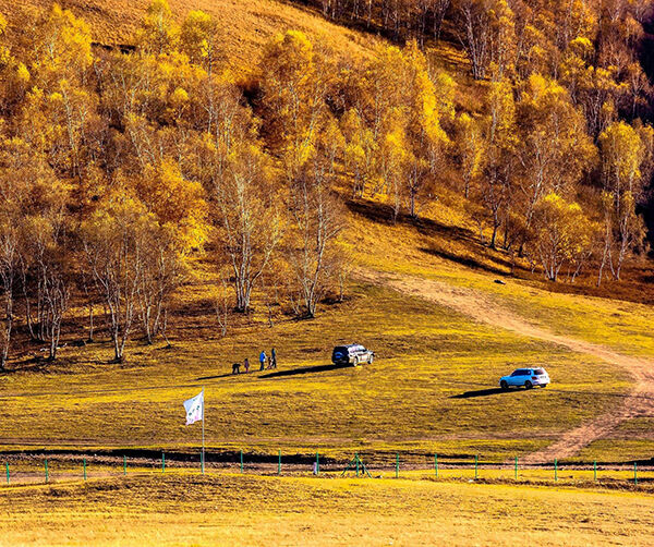 1560358193217955.jpg 01.jpg