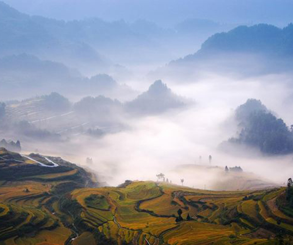 1560358254851555.jpg 01.jpg