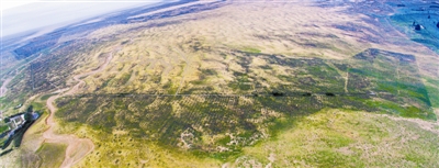 1560358374369858.jpg 01.jpg