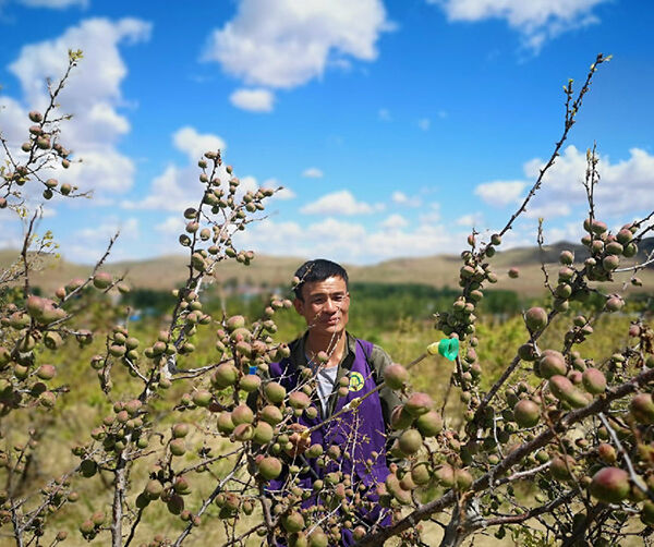 1560966330107063.jpg 01.jpg