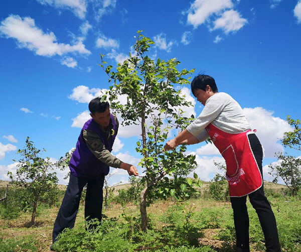 1560966338890155.jpg 02.jpg