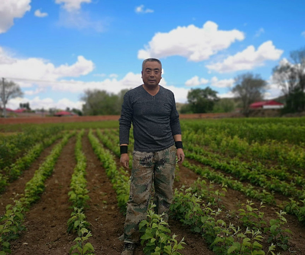 1560966345131763.jpg 03.jpg