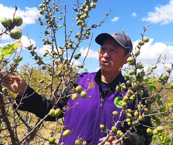 1560966355134112.jpg 04.jpg