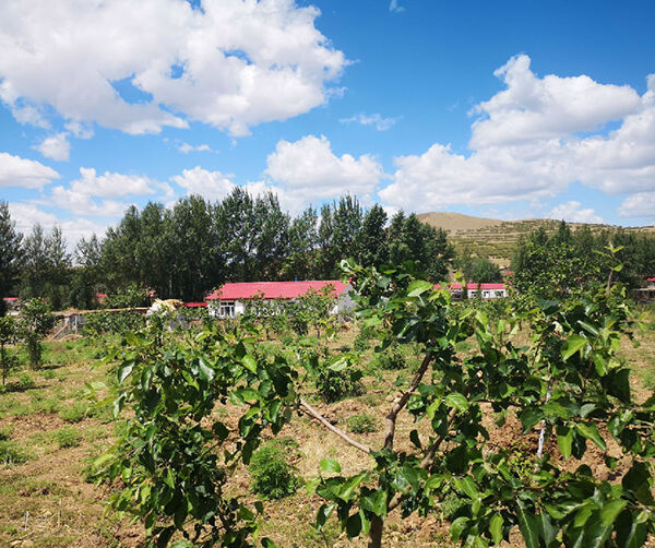 1560966365586092.jpg 05.jpg