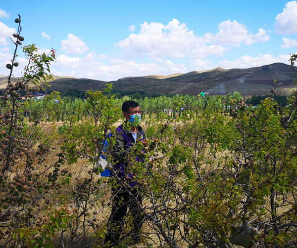 1560966373131698.jpg 06.jpg