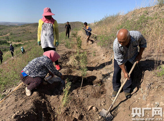 1560966582939082.png 02.png