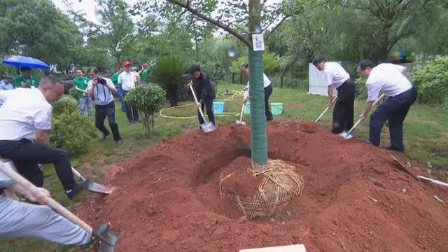 1560967196115480.jpg 04.jpg