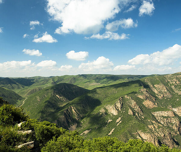 1561397233140636.jpg 01.jpg