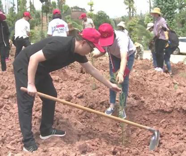 1561997209135494.jpeg 02.jpeg