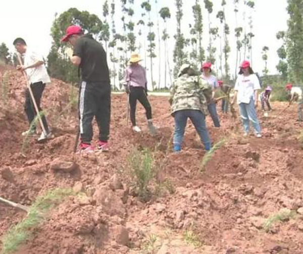 1561997225971098.jpeg 03.jpeg