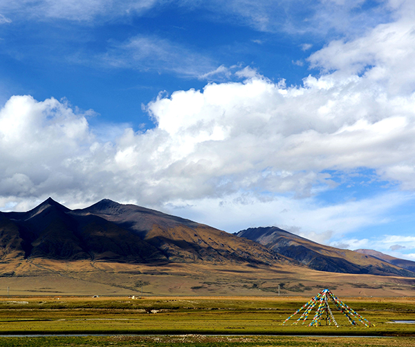 1561997620341242.jpg 01.jpg