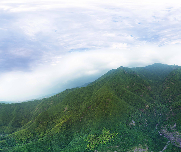 1561997760349288.jpg 01.jpg