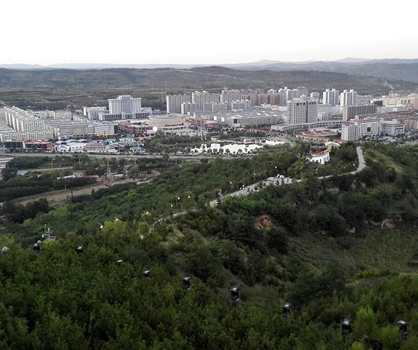 1562720185634331.jpg 01.jpg