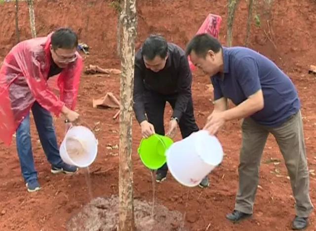 1562720422217525.jpeg 01.jpeg