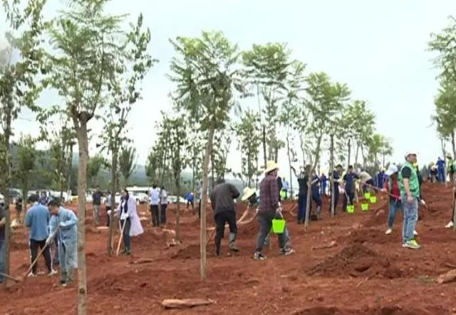 1562720441525676.jpeg 03.jpeg