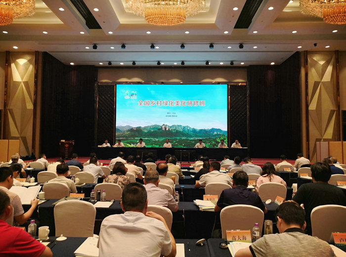 1562720848130614.jpg 01.jpg