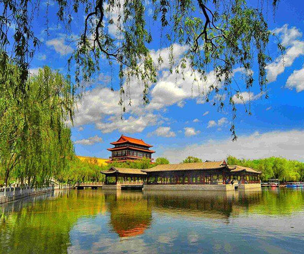 1563336036126500.jpg 01.jpg