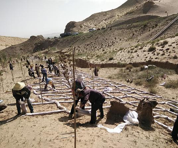 1563336109592031.jpeg 01.jpeg