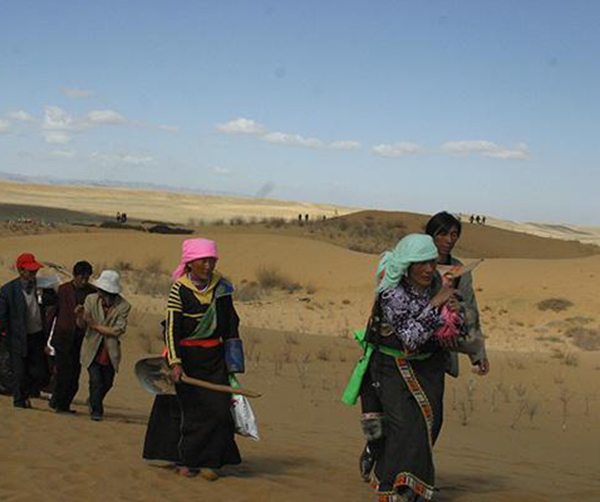 1563336120505967.jpeg 02.jpeg