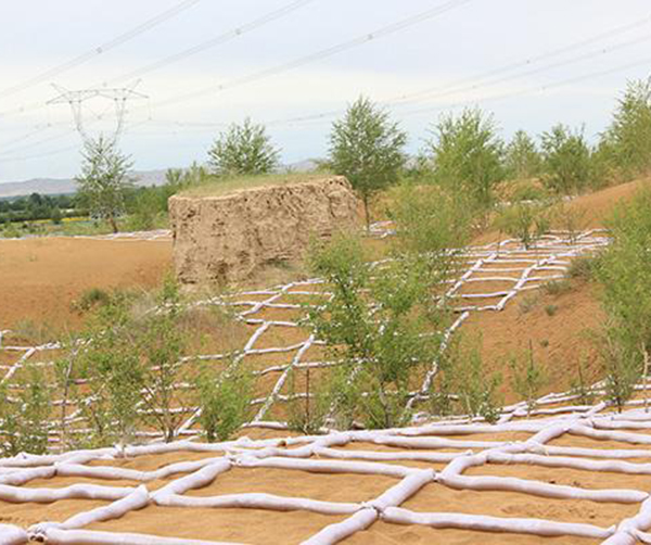 1563336129186026.jpeg 03.jpeg