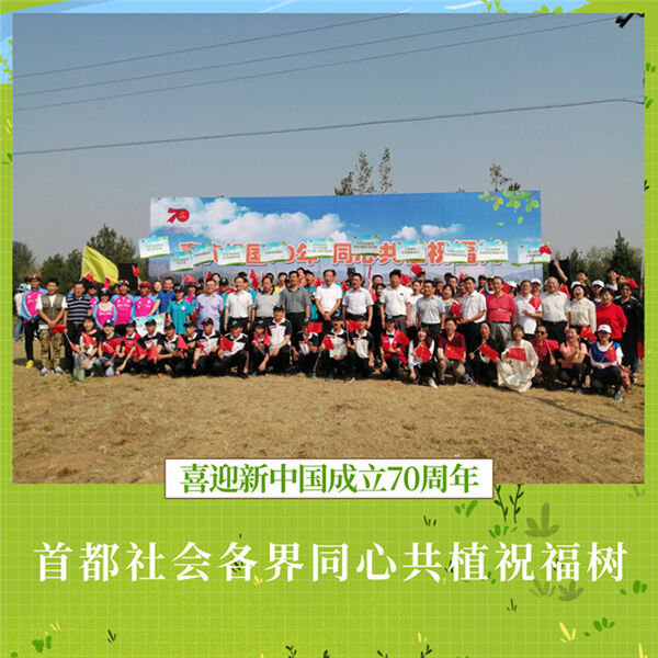 1568712136834257.jpg 01.jpg