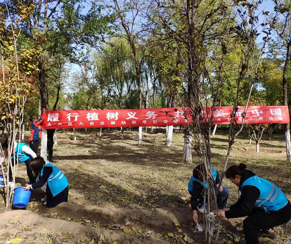 1572524876527569.jpg 04.jpg