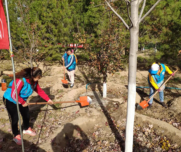 1572524883485871.jpg 05.jpg