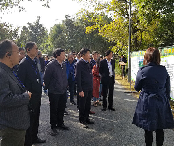 1572526088791956.jpg 04.jpg