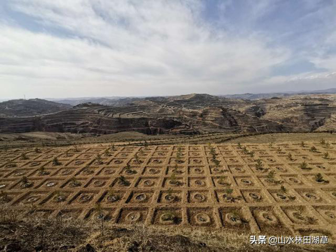 1585844026971516.jpg 1.jpg