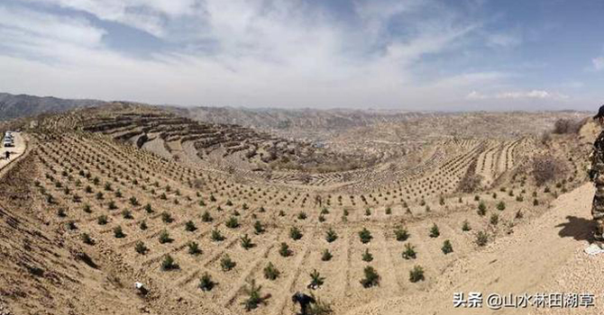 1585844043579050.jpg 3.jpg