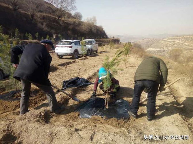 1585844070452598.jpg 5.jpg