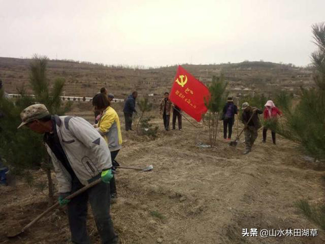 1585844082180486.jpg 6.jpg