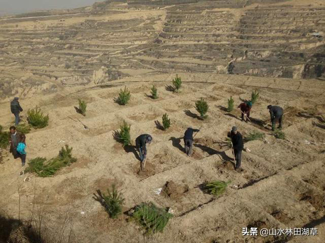 1585844089221912.jpg 8.jpg