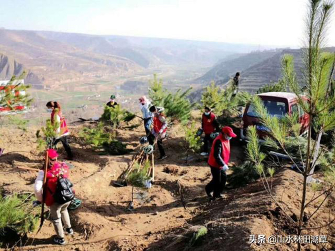 1585844109807153.jpg 9.jpg